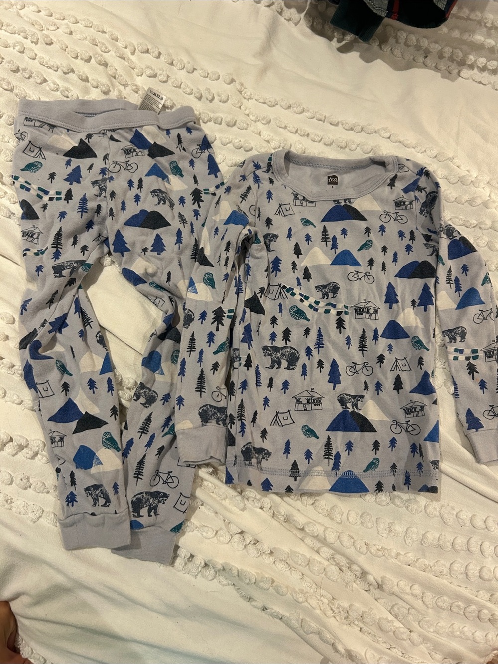 Tea Collection Grey Pajama Set with Blue & Navy Outdoor Print